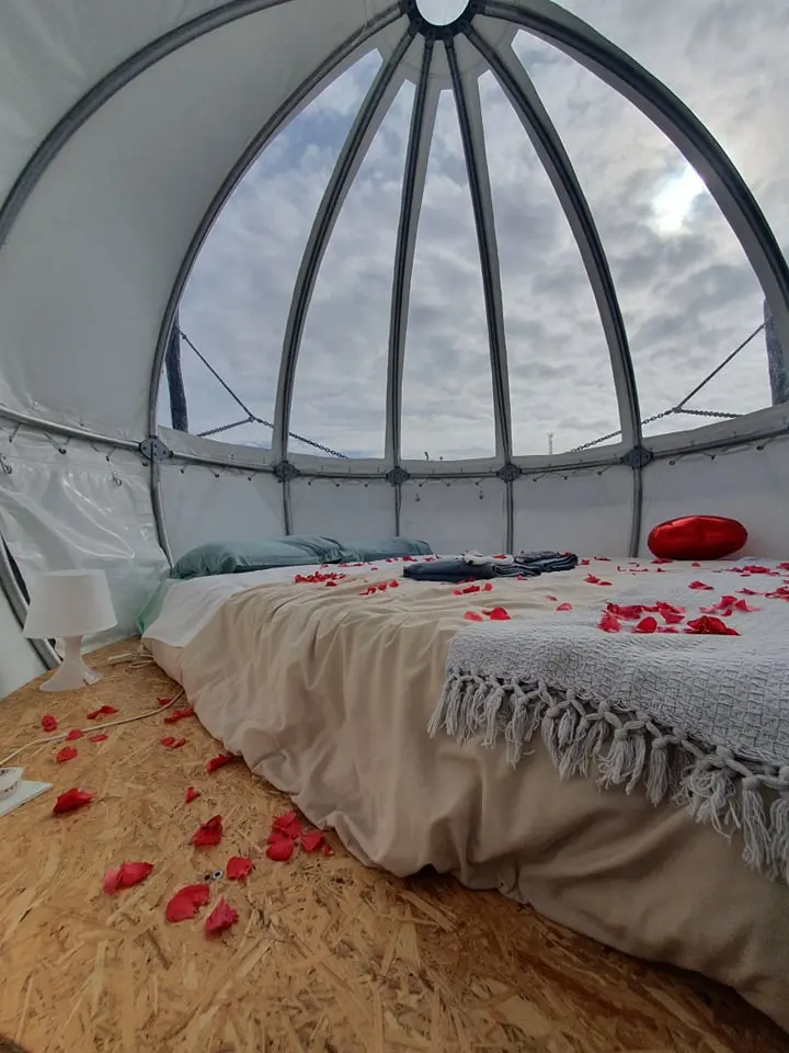 Cocoon