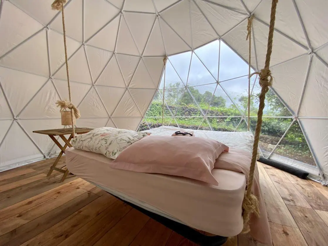 Domes Criptomeria