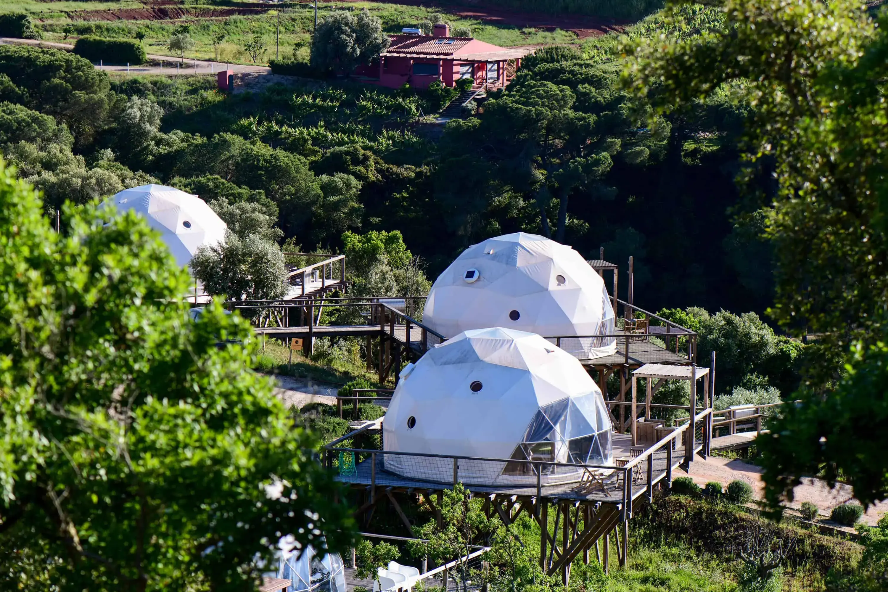 Wecamp Reserva Alecrim - imagen 4
